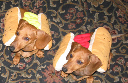 Frank & Bean Halloween